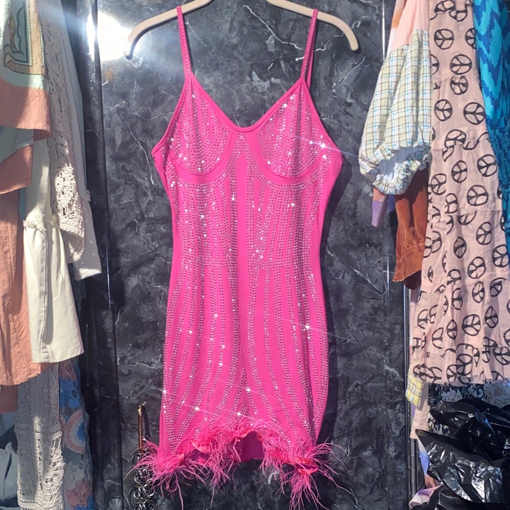 Pink Sequin Feather Trim Dress